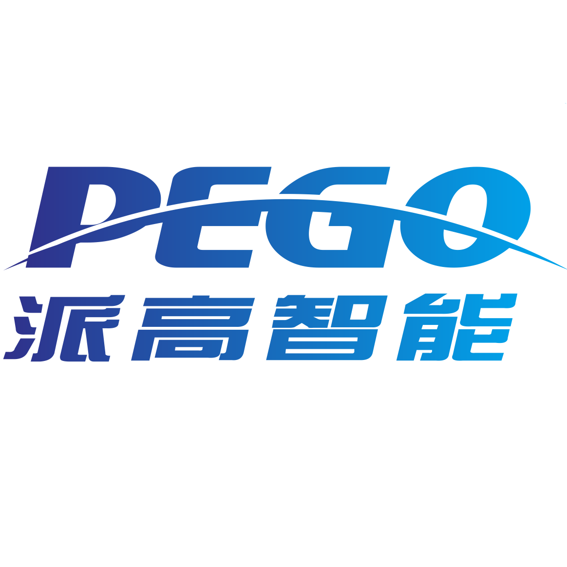 广州派高智能科技有限公司