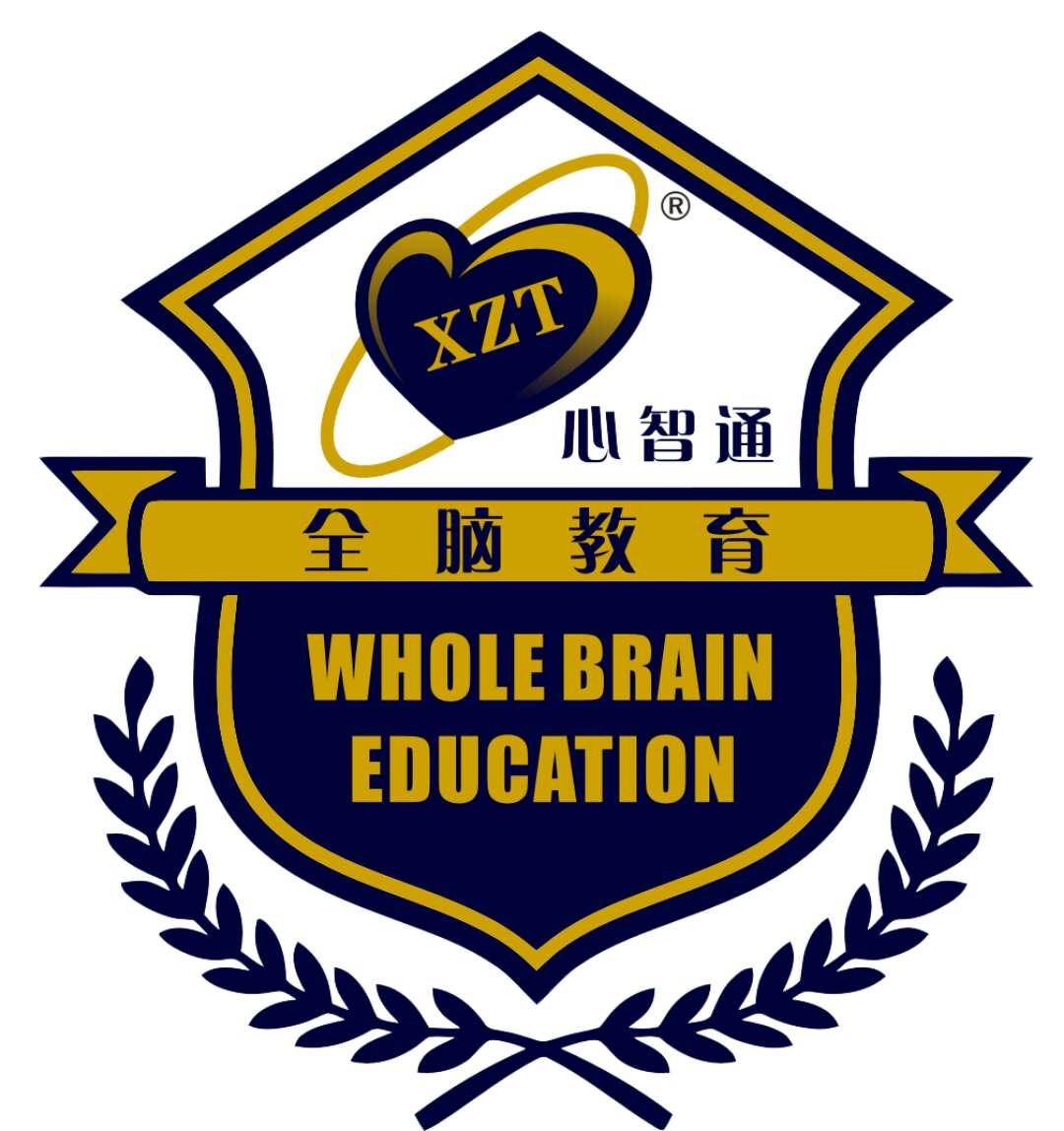 莱芜市心智通启智教育咨询有限公司