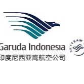 度尼西亚鹰航空公司是由印尼政府全资所有的2014年,印尼鹰航成功跻身