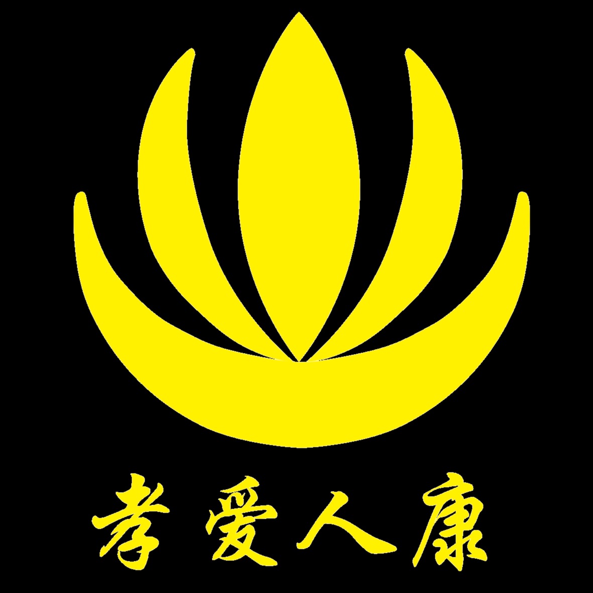 保支付_红河惠民保怎么用医保支付_挂号不能用医保支付