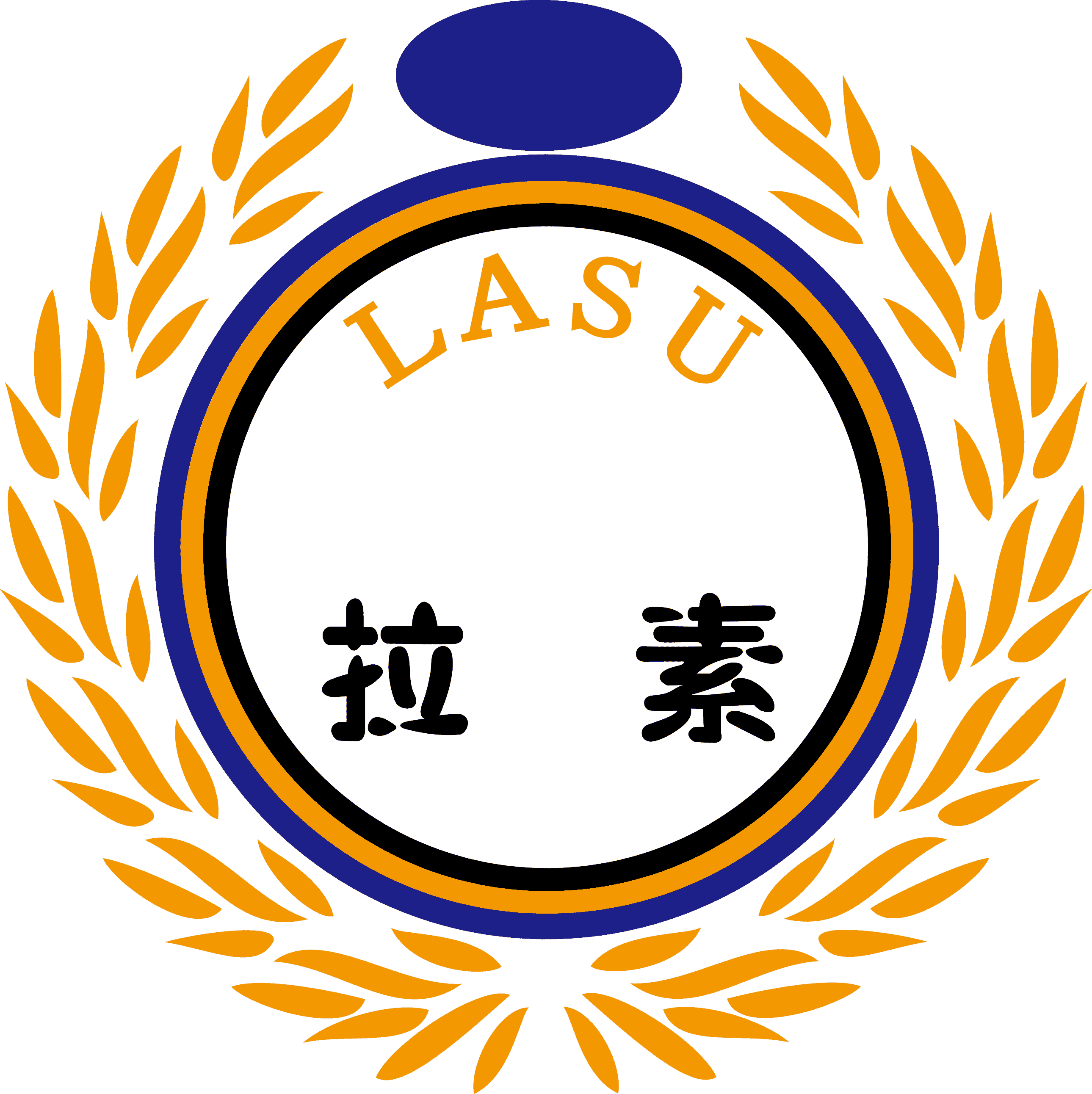 杭州拉素科技有限公司