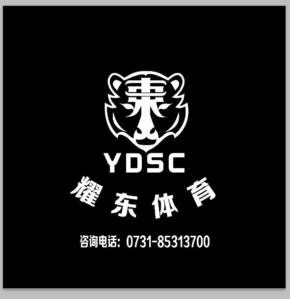 青少年运动训练篮球教练