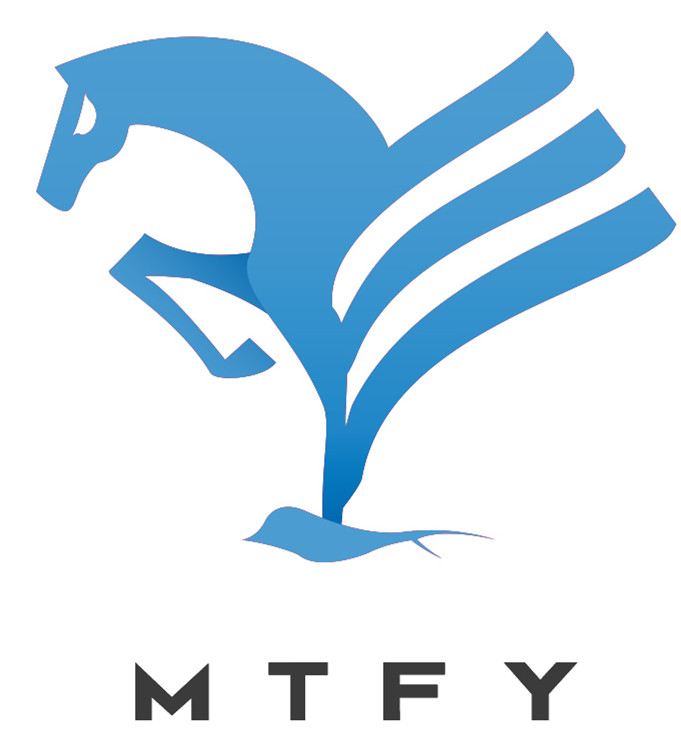 深圳市马踏飞燕科技有限公司